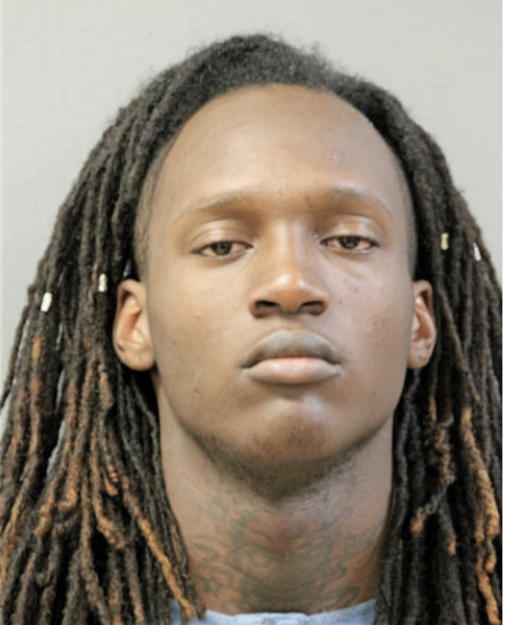 MALIK A AHMAD, Cook County, Illinois