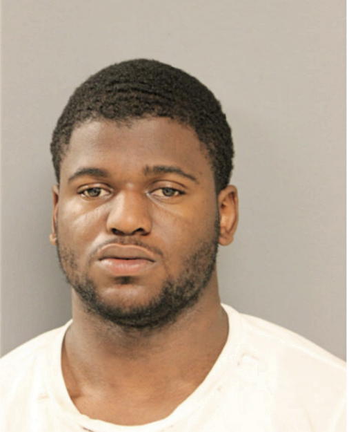 NIKKO ARNOLD, Cook County, Illinois