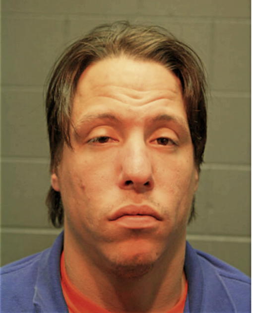 DAVID S BERGER, Cook County, Illinois