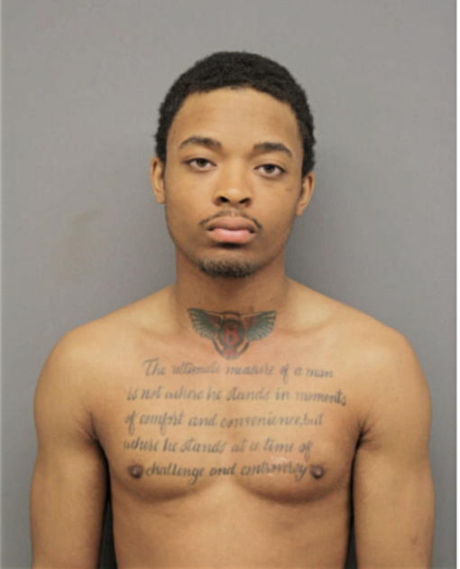 BRANDON T BRYANT, Cook County, Illinois