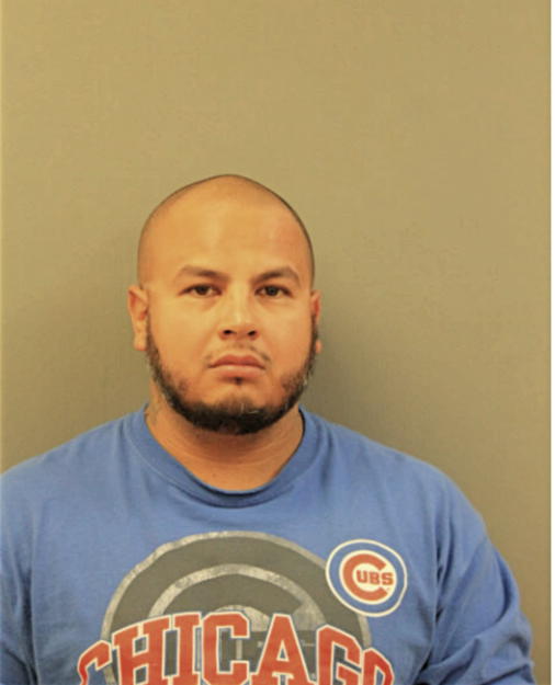 JESUS P CASTILLO, Cook County, Illinois