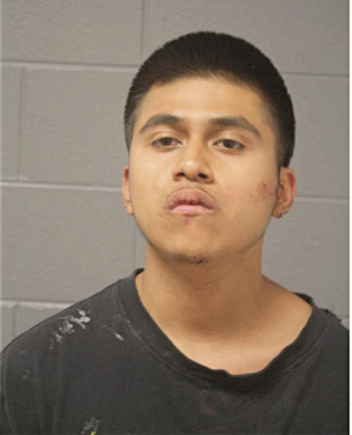 JAIME DELGADO, Cook County, Illinois