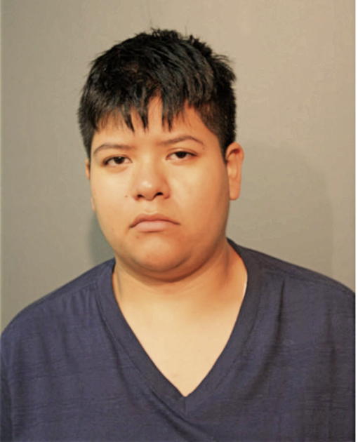 STEPHANIE DELGADO, Cook County, Illinois