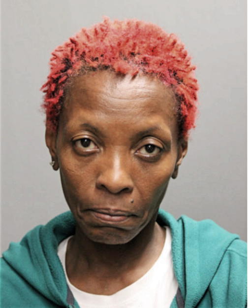 THERESA ELKINS, Cook County, Illinois