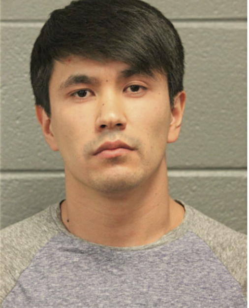 ALEN ERMATOV, Cook County, Illinois