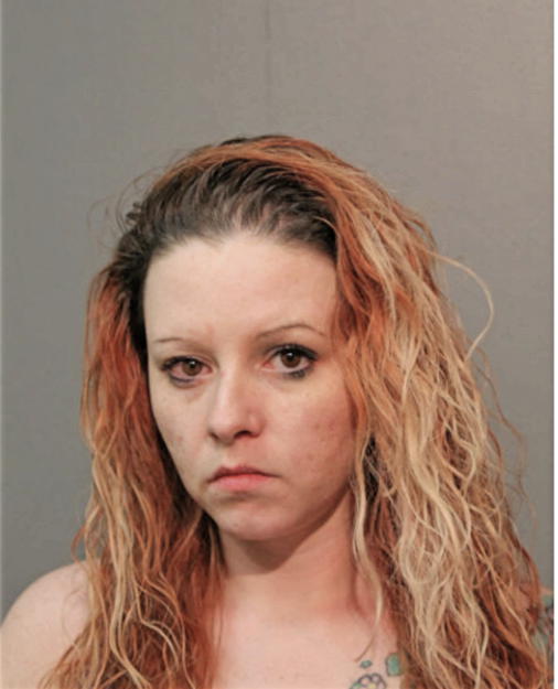 JANET M FLANNERY, Cook County, Illinois