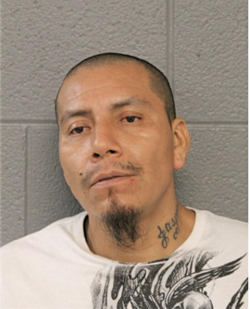 BONIFACIO FLORES, Cook County, Illinois