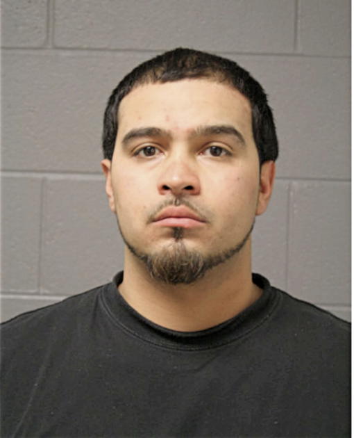 MIGUEL F HERNANDEZ, Cook County, Illinois