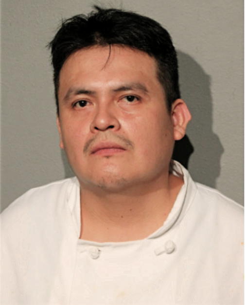 MARCO A HERNANDEZ-SANTIAGO, Cook County, Illinois