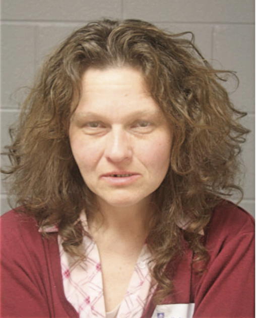 SHARON L JAROSZEWSKI, Cook County, Illinois