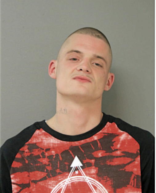RICKY J JOHNSON, Cook County, Illinois