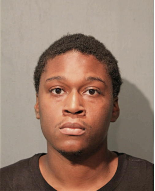 ROBERT L JOHNSON, Cook County, Illinois