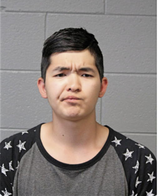 MANSUR KHAMIDULLIN, Cook County, Illinois