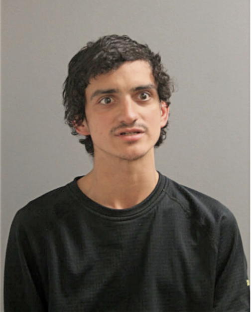 BRANDON S LAVERDURE, Cook County, Illinois
