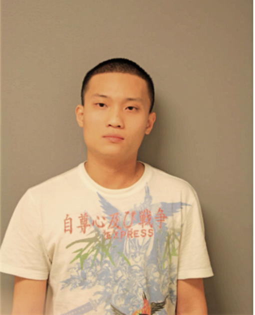 TAI T LE, Cook County, Illinois