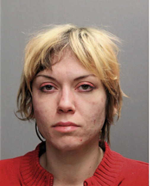 KRISTEN L LONGHI, Cook County, Illinois