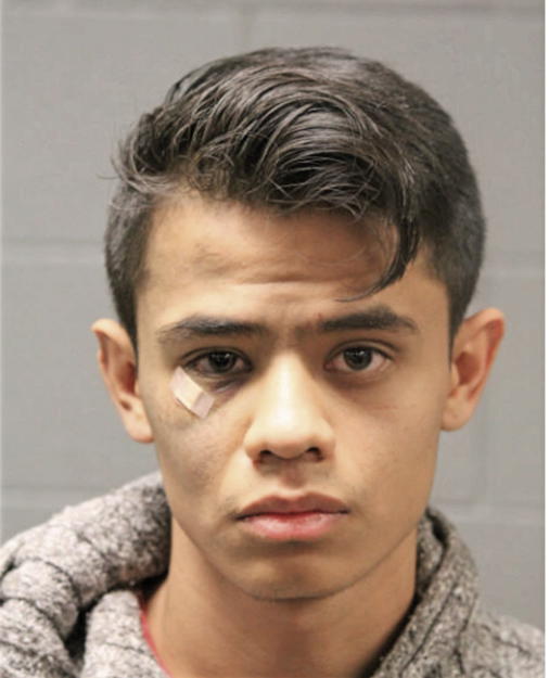 PEDRO LOZA, Cook County, Illinois