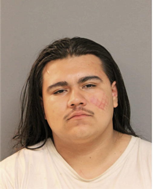 LUIS MARTINEZ, Cook County, Illinois