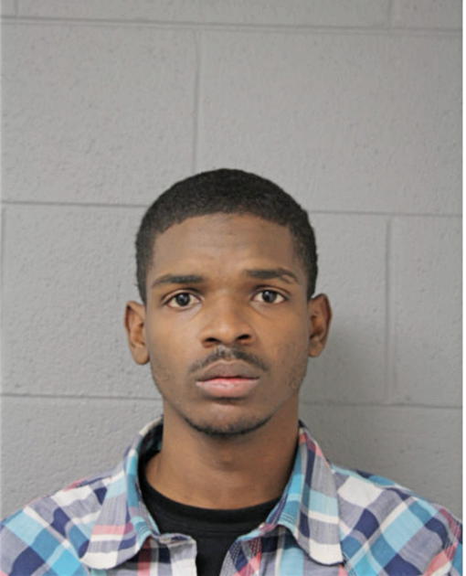 ALLEN S MICKLE, Cook County, Illinois
