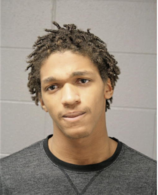 STEVEN M NEWMAN, Cook County, Illinois