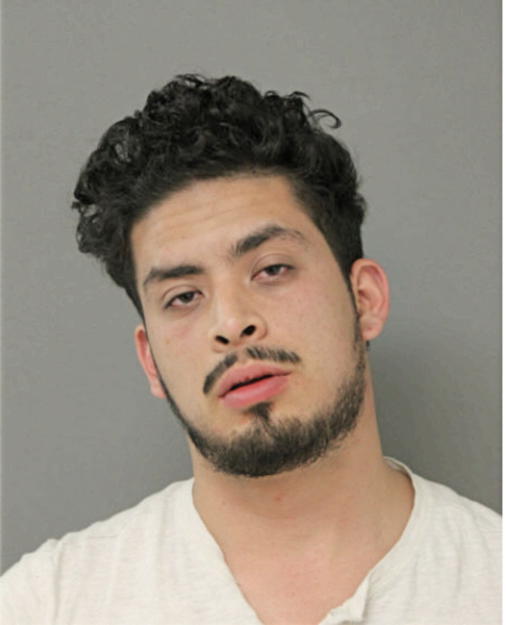 BRYAN D PEREZ, Cook County, Illinois