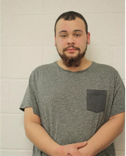 MICHAEL E PEREZ, Cook County, Illinois
