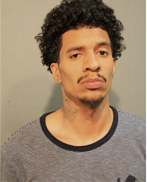 ANTHONY J RAYA, Cook County, Illinois