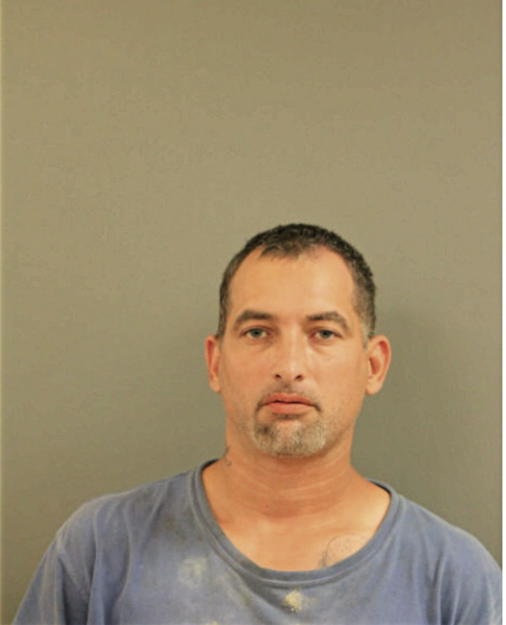 LUIS M ROMAN, Cook County, Illinois