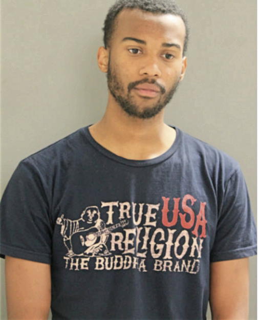 TERRY L STEPHENS, Cook County, Illinois