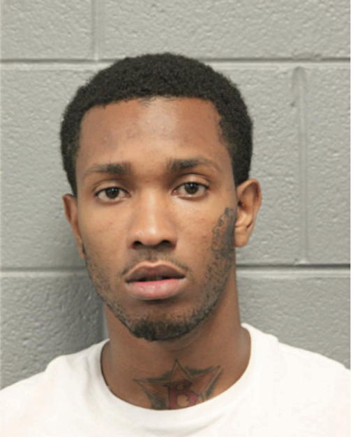 ROGER R TANNER, Cook County, Illinois