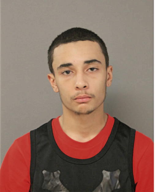 JUSTIN J TURLEY, Cook County, Illinois
