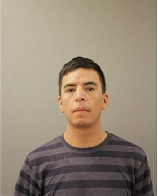 JOSE VALLES, Cook County, Illinois