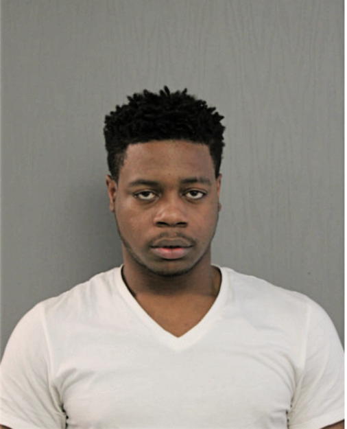 RHYSHEEN J WILSON, Cook County, Illinois