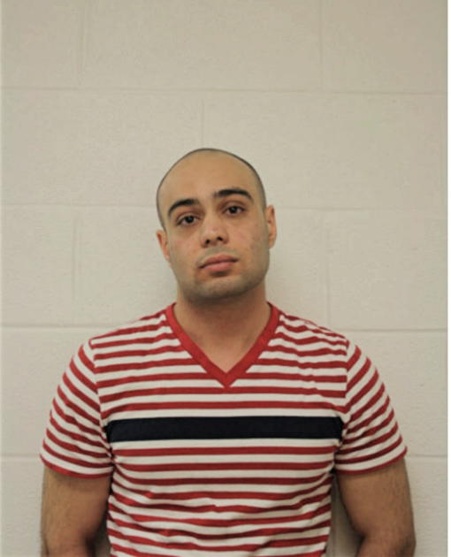 ARASH AFSHAR, Cook County, Illinois