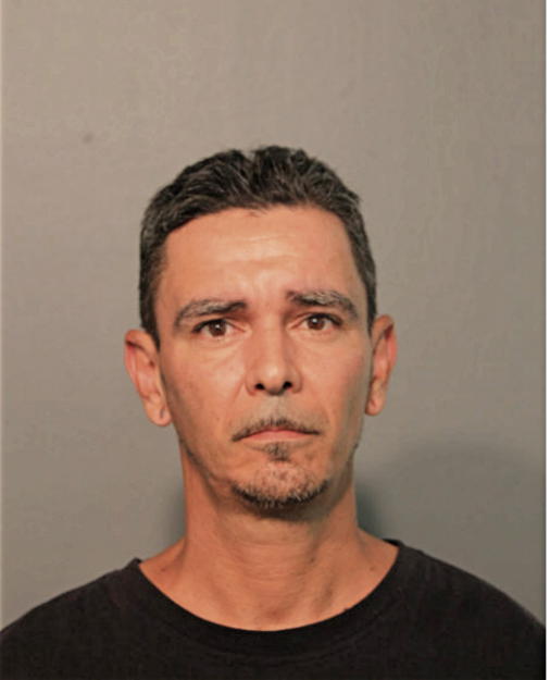 NELSON ANDALUZ, Cook County, Illinois