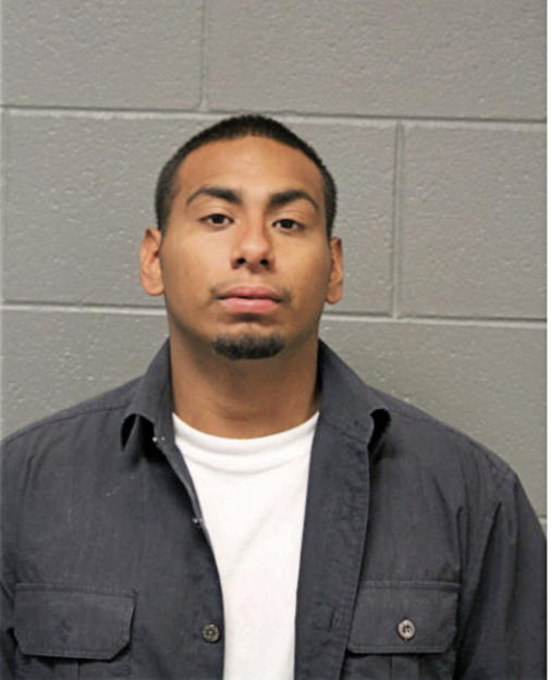 MARIO CALDERON, Cook County, Illinois