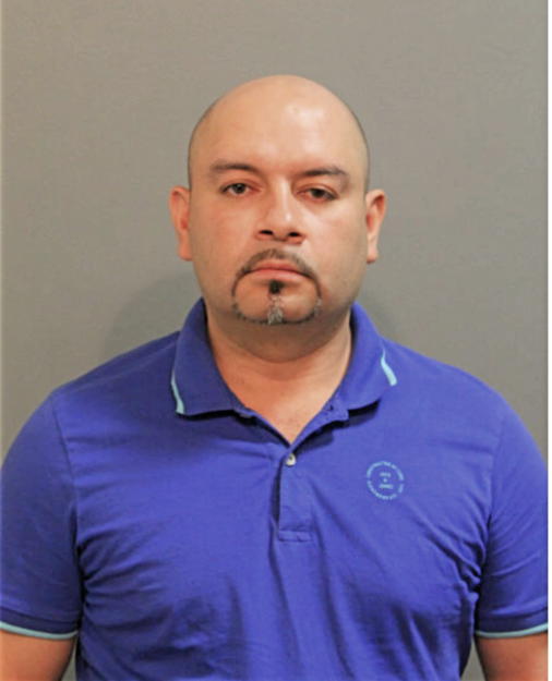 GABRIEL C CASTANEDA, Cook County, Illinois