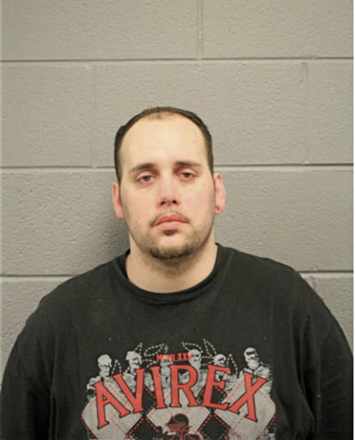 ANDREW N CONSTANZO, Cook County, Illinois
