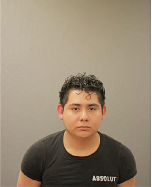 EMILIO DIRCIO-SEGURA, Cook County, Illinois