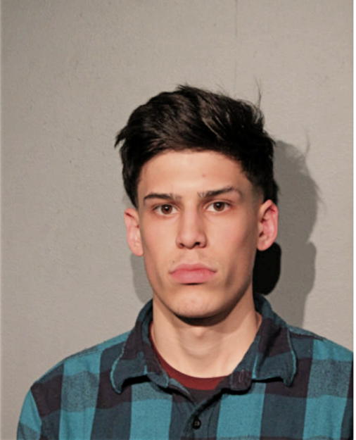MATTHEW D FARINA, Cook County, Illinois