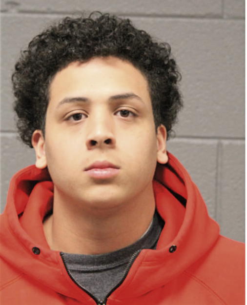 FRANCISCO J FIGUEROA, Cook County, Illinois