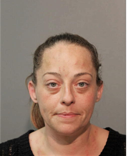DANA L FLORIAN, Cook County, Illinois
