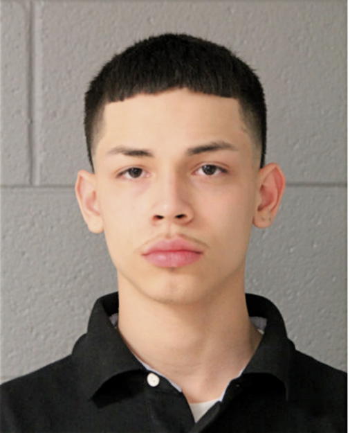 MARCUS L GUERRERO, Cook County, Illinois