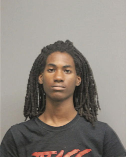 JOSHUA R HAYES, Cook County, Illinois