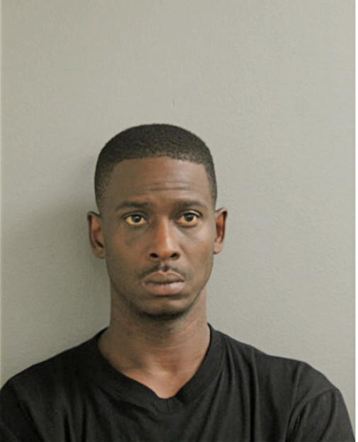 TERRELL L JOHNSON, Cook County, Illinois