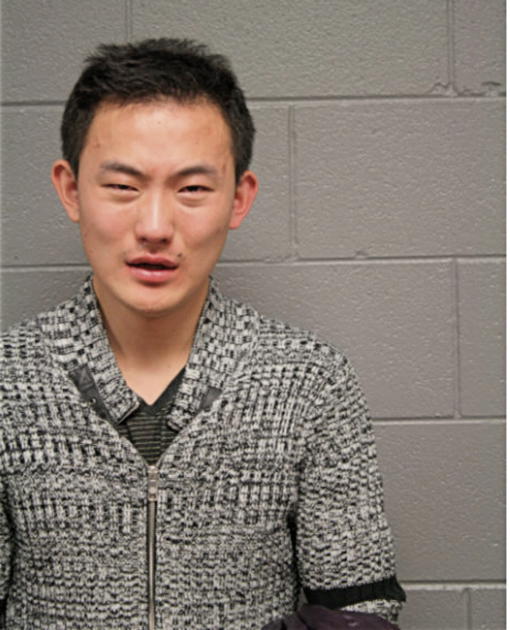 ZHENG LIU, Cook County, Illinois