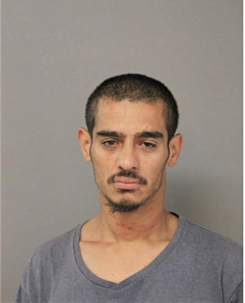 JUAN L MONTERO, Cook County, Illinois
