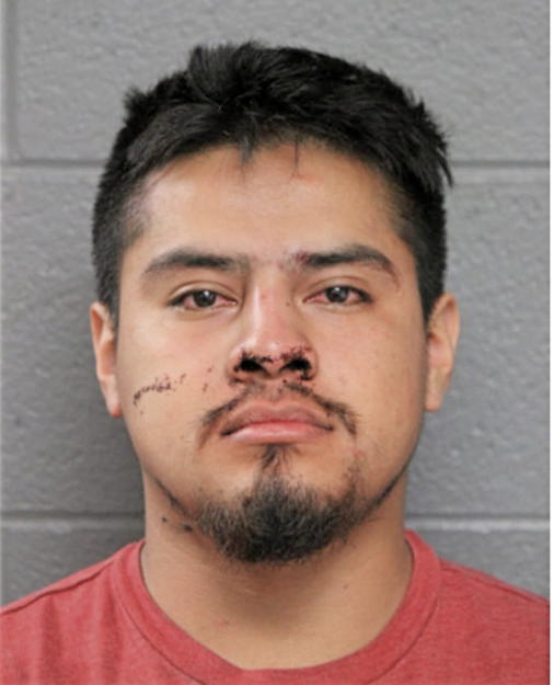 ROBERTO MORALES-JIMENEZ, Cook County, Illinois