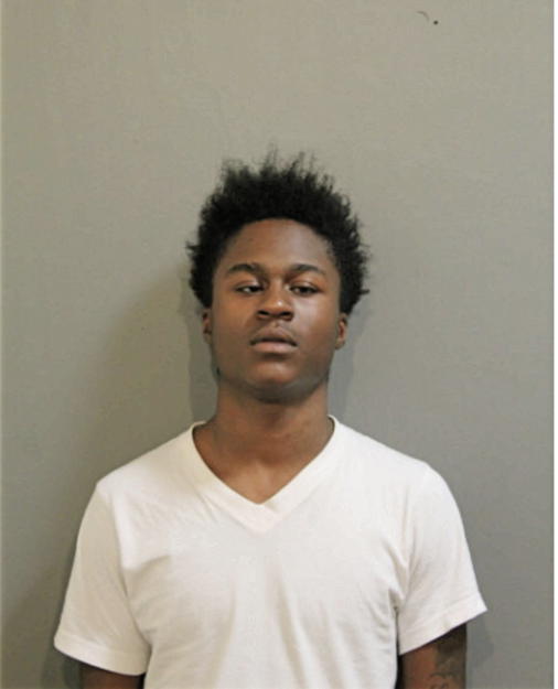 TRAVIS J MOSLEY, Cook County, Illinois