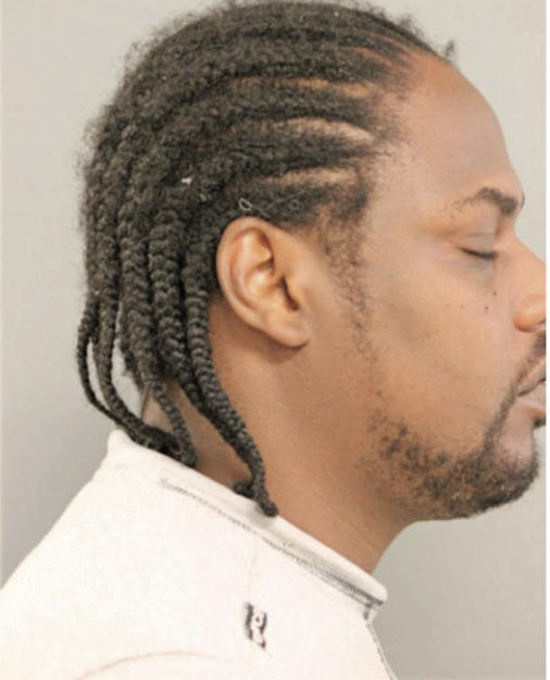 WILLIE J PATTERSON, Cook County, Illinois